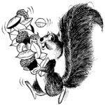 Duey, the DuetsBlog squirrel mascot